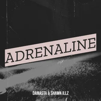 Adrenaline by Shawn Illz