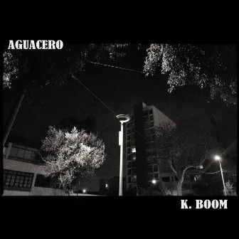 Aguacero by K. Boom