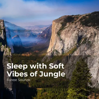 Sleep with Soft Vibes of Jungle by Forest Sounds