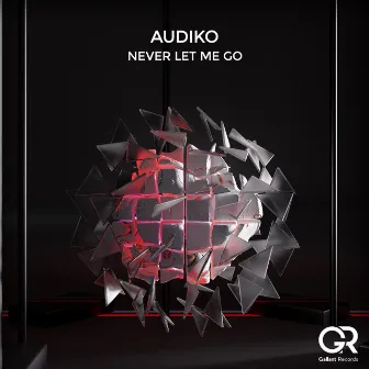 Never Let Me Go by Audiko