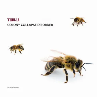 Colony Collapse Disorder by Thulla