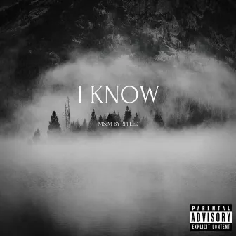 I Know by Lyrical Bandit