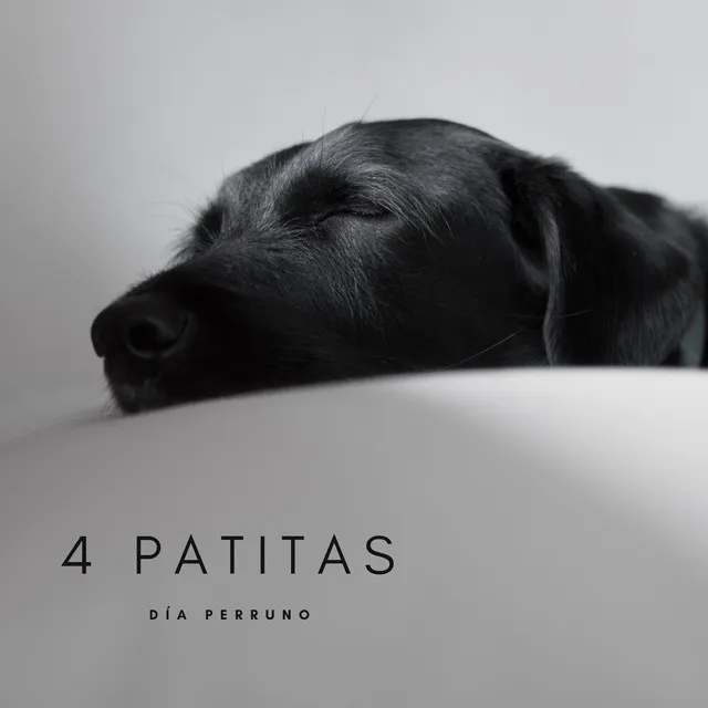 4 Patitas: Día Perruno