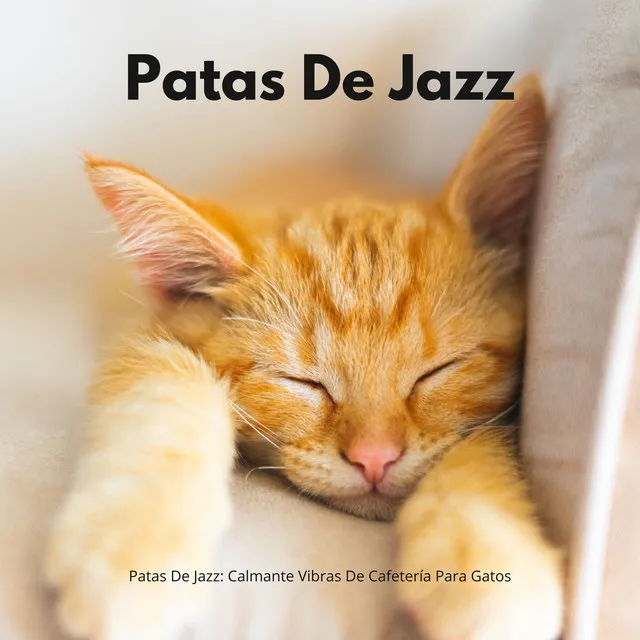 Calma De Jazz Suave Para Bigotes