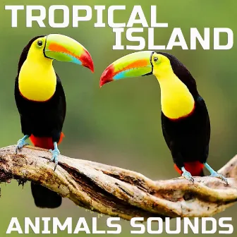 Tropical Island Animals Sounds by Nature Sounded