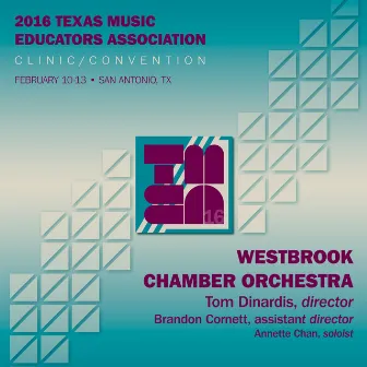 2016 Texas Music Educators Association (TMEA): Westbrook Intermediate School Chamber Orchestra [Live] by Tom Dinardis