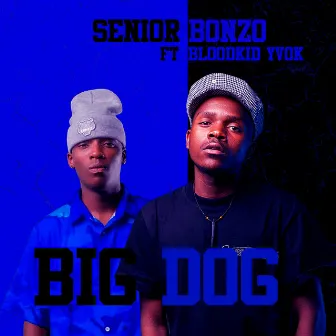 Big Dog by Senior Bonzo