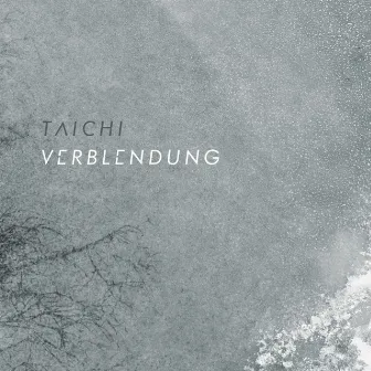 Verblendung by Taichi