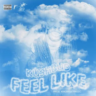 Feel Like by Kush Bud