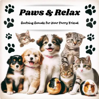 Paws & Relax: Hz Canine Spa Serenity, Soothing Sounds for Your Furry Friend by Dog Music!