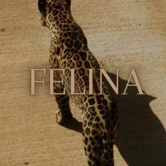 Felina by GG