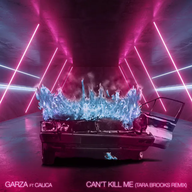 Can't Kill Me (Tara Brooks Remix)