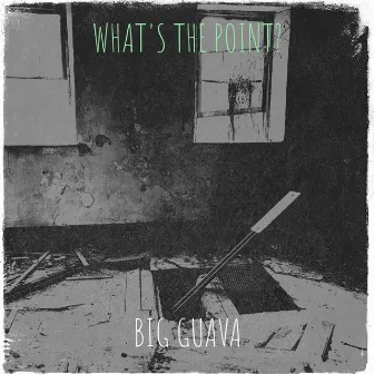 What's the Point? by Big Guava