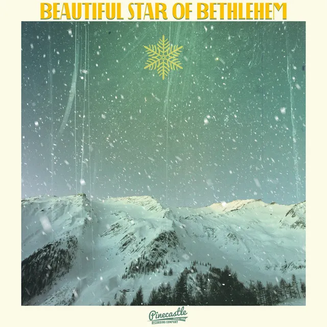 Beautiful Star of Bethlehem