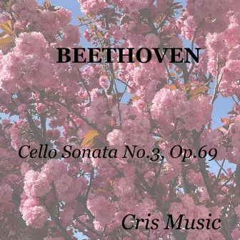 Beethoven: Cello Sonata No.3, Op.69 by Felix Salmond