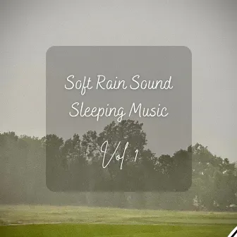 Soft Rain Sound Sleeping Music Vol. 1 by Rain Sounds To Fall Asleep To