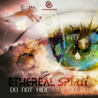 Do Not Hide by Ethereal Spirit