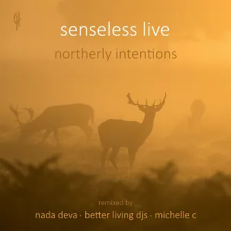 Northerly Intentions - Single by Senseless Live