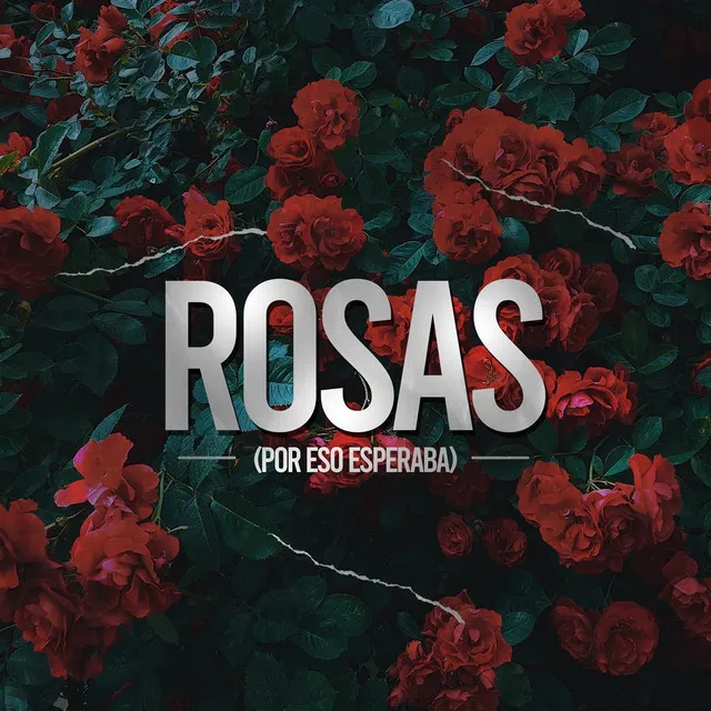 Rosas (Por Eso Esperaba)