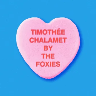 Timothée Chalamet by The Foxies