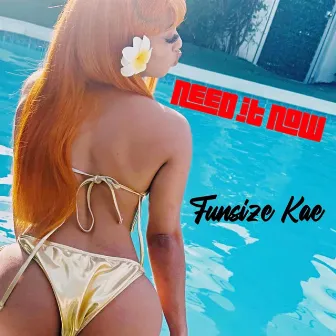 Need it now by Funsize kae