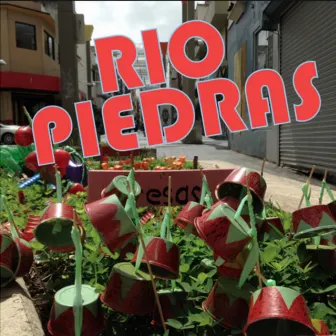 Rio Piedras by Díbora Matos