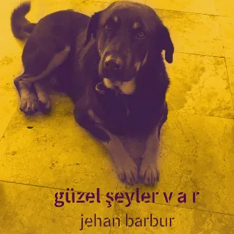 Güzel Şeyler Var by Jehan Barbur