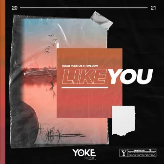 Like You by Ton Don