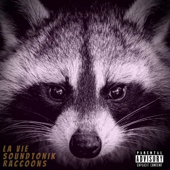 Raccoons by La Vie