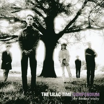 Compendium - The Fontana Trinity by The Lilac Time