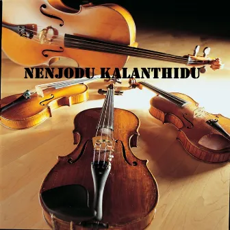 Nenjodu Kalanthidu by Shravan Gopalakrishnan