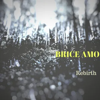 Rebirth by Brice AMO