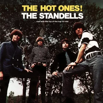 The Hot Ones! by The Standells