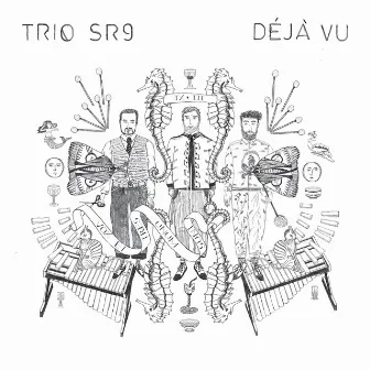 Don't Stop the Music by Trio SR9