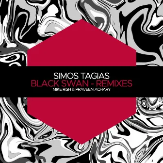 Black Swan - Remixes by Praveen Achary