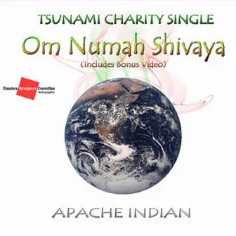 Om Numah Shivaya by Apache Indian