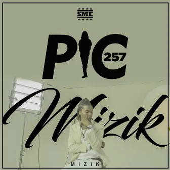 Mizik by PIC257