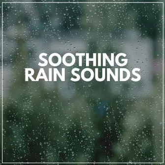 Soothing Rain Sounds by Always Raining