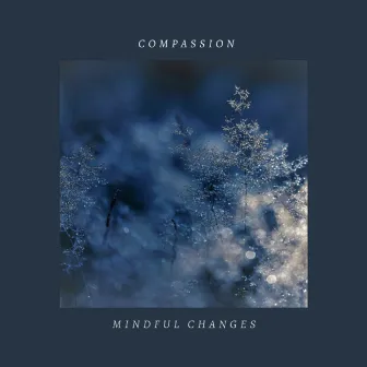 Compassion by Mindful Changes