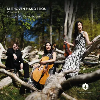 Beethoven Piano Trios, Vol. 2 by Trio con Brio Copenhagen