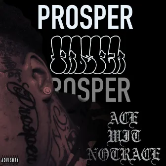 Prosper by Unknown Artist