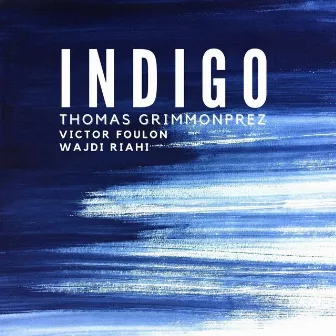 Indigo by Thomas Grimmonprez