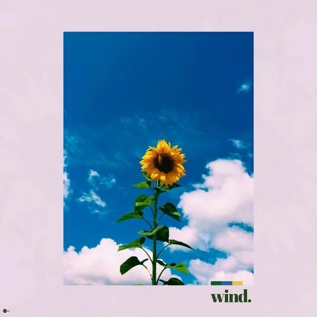 wind