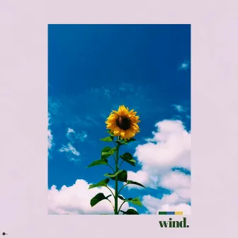 wind by Milton Cheelo