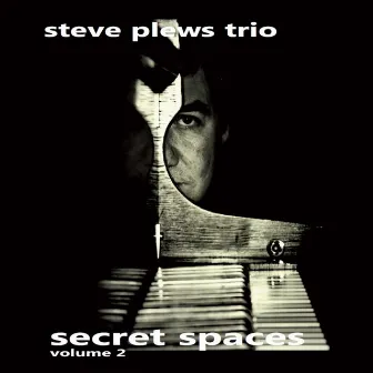 Secret Spaces, Vol. 2 by Steve Plews Trio