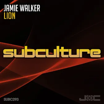 Lion by Jamie Walker