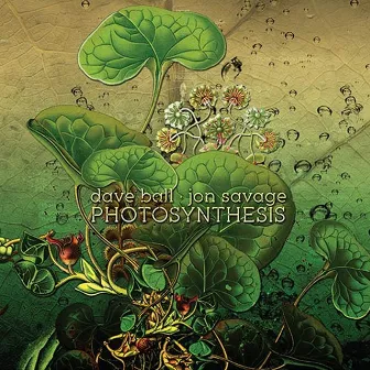 Photosynthesis by Dave Ball