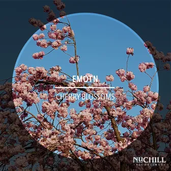 Cherry Blossoms by Emotn