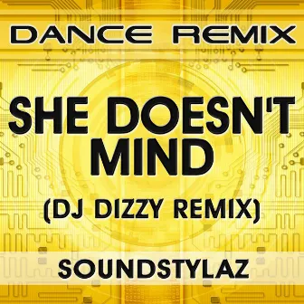 She Doesn't Mind (DJ Dizzy Remix) by DJ Dizzy