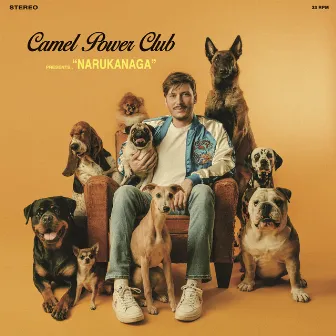 Narukanaga by Camel Power Club